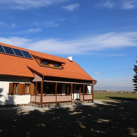 Borzont Ezuestfenyo Agroturisztikai Panzio酒店 外观 照片
